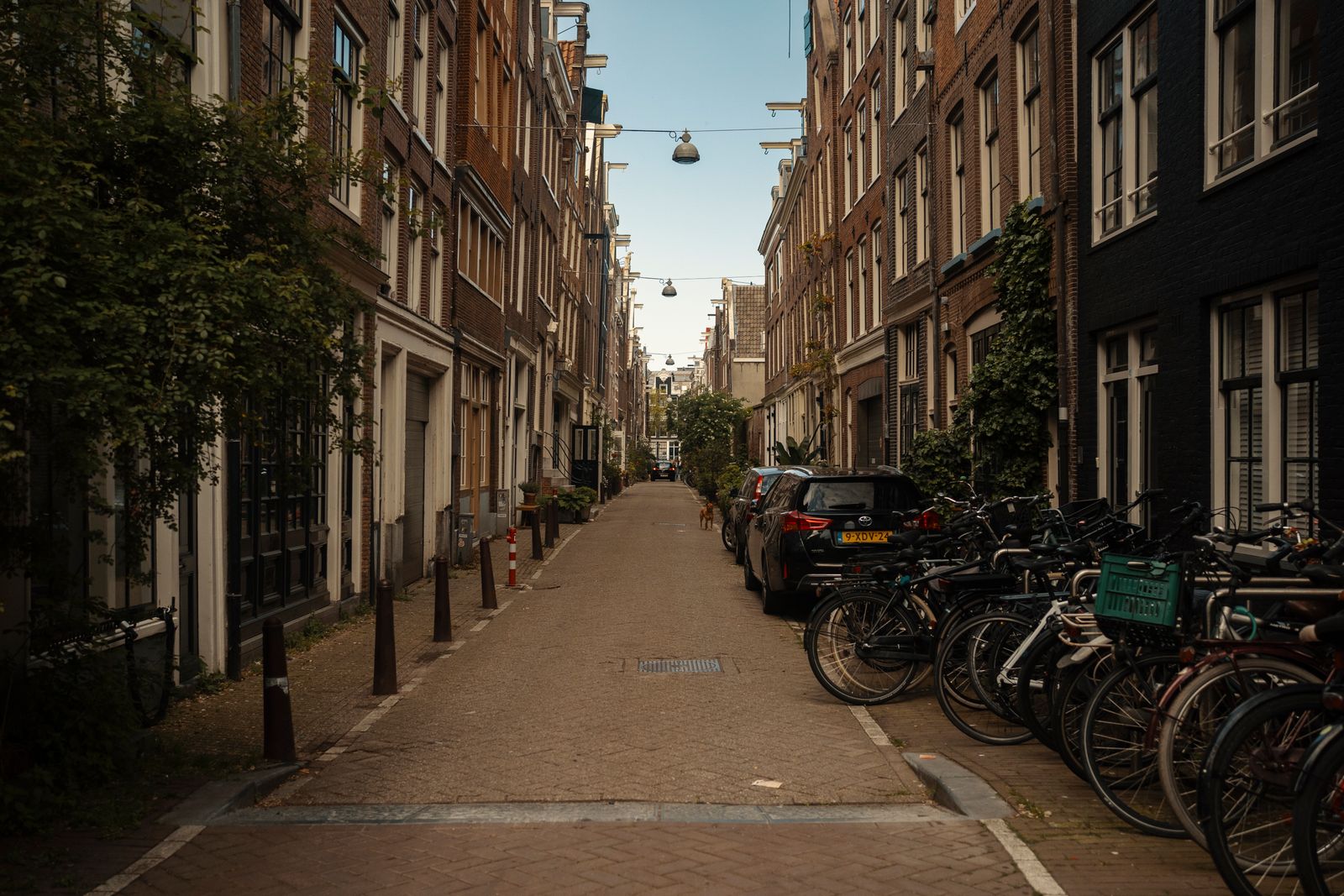 Steegje met oude panden en fietsen in Amsterdam